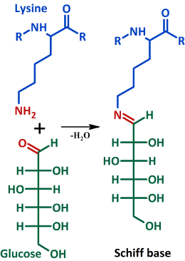 Glycation (glucose) reactants