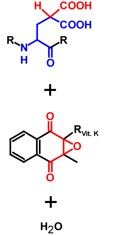 Carboxylation products