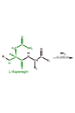 Succinimide (asparagine) reactants