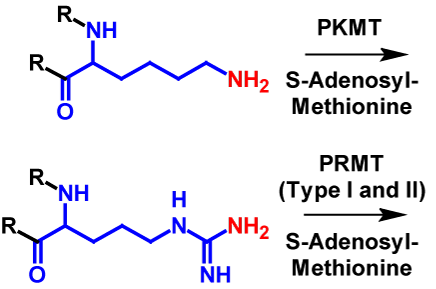Methylation (Mono) reactants