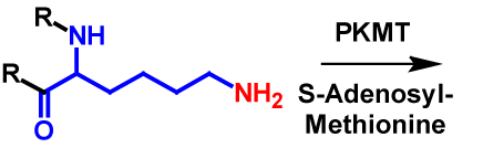Methylation (Tri) reactants