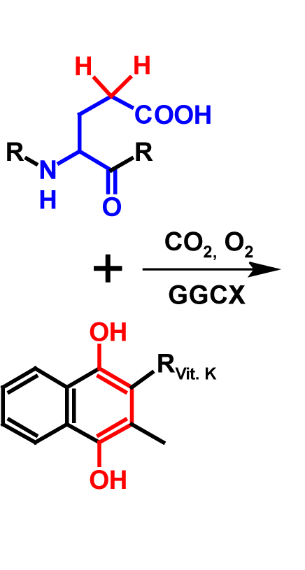Carboxylation reactants