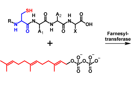 Farneslyation reactants