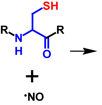 S-Nitrosylation reactants