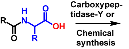 Amidation (in vitro) reactants