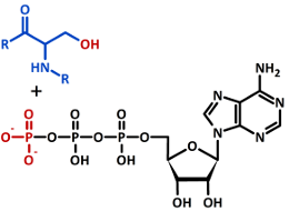 Phosphorylation reactants