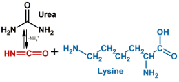 Carbamylation reactants