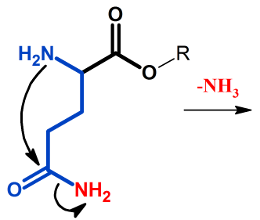 Pyroglutamic Acid reactants