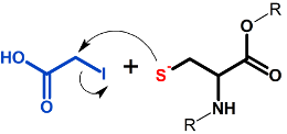 Alkylation (iodoacetic acid) reactants