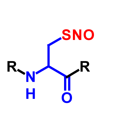 S-Nitrosylation products