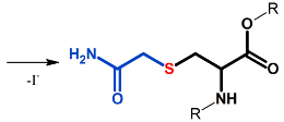 Alkylation (iodoacetamide) products