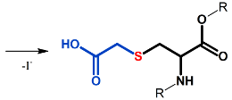 Alkylation (iodoacetic acid) products