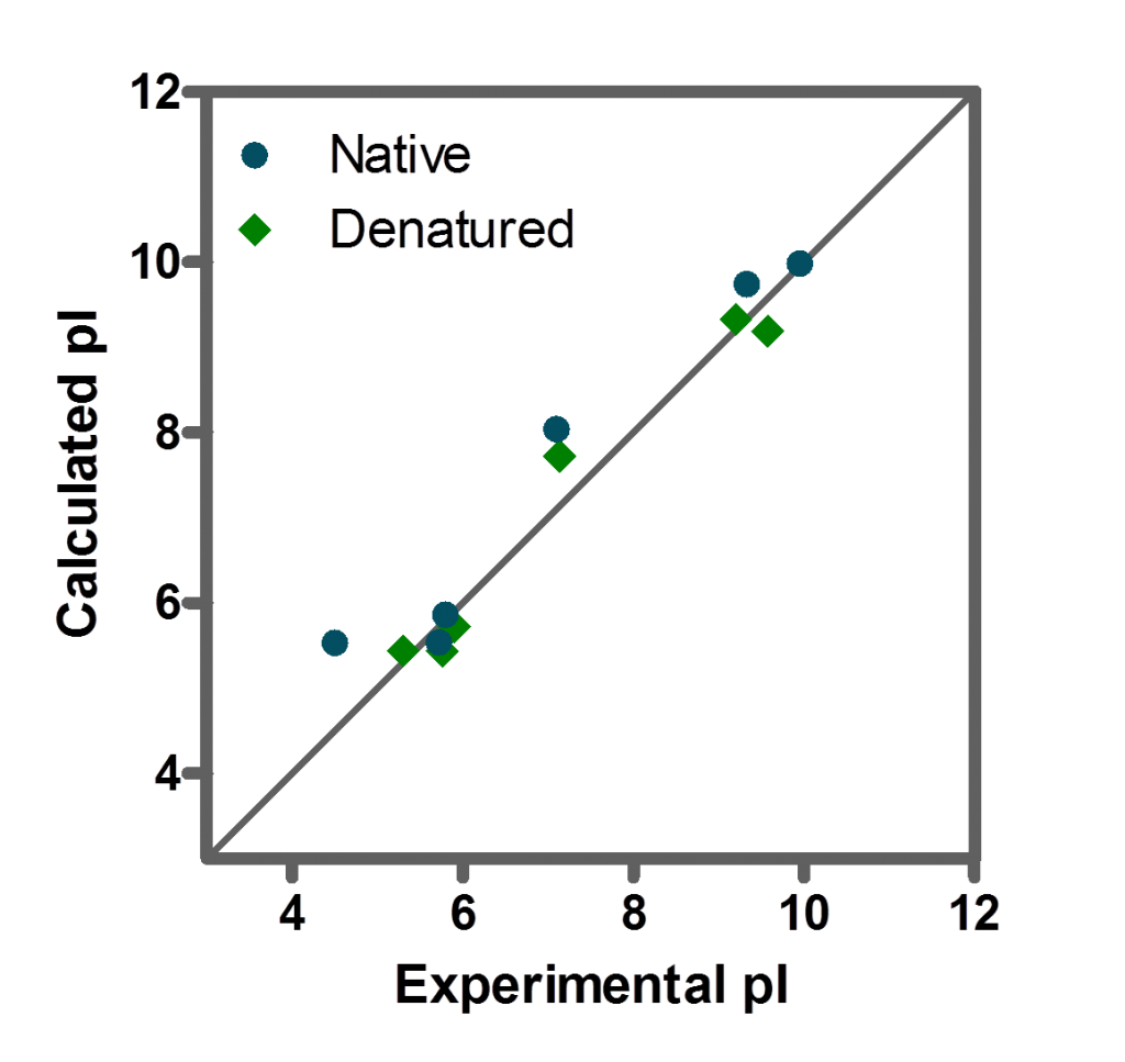 Isoelectric point calculation of native proteins Blog pi
