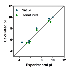 Figure 2: Correlation of experimental and calculated isoelectric point (pI) of native (blue) and denaturated (green) proteins.