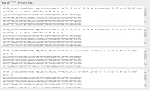 Figure 2: Entered amino acid sequence of two HC and two LC.