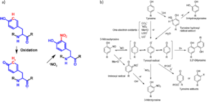 Nitration